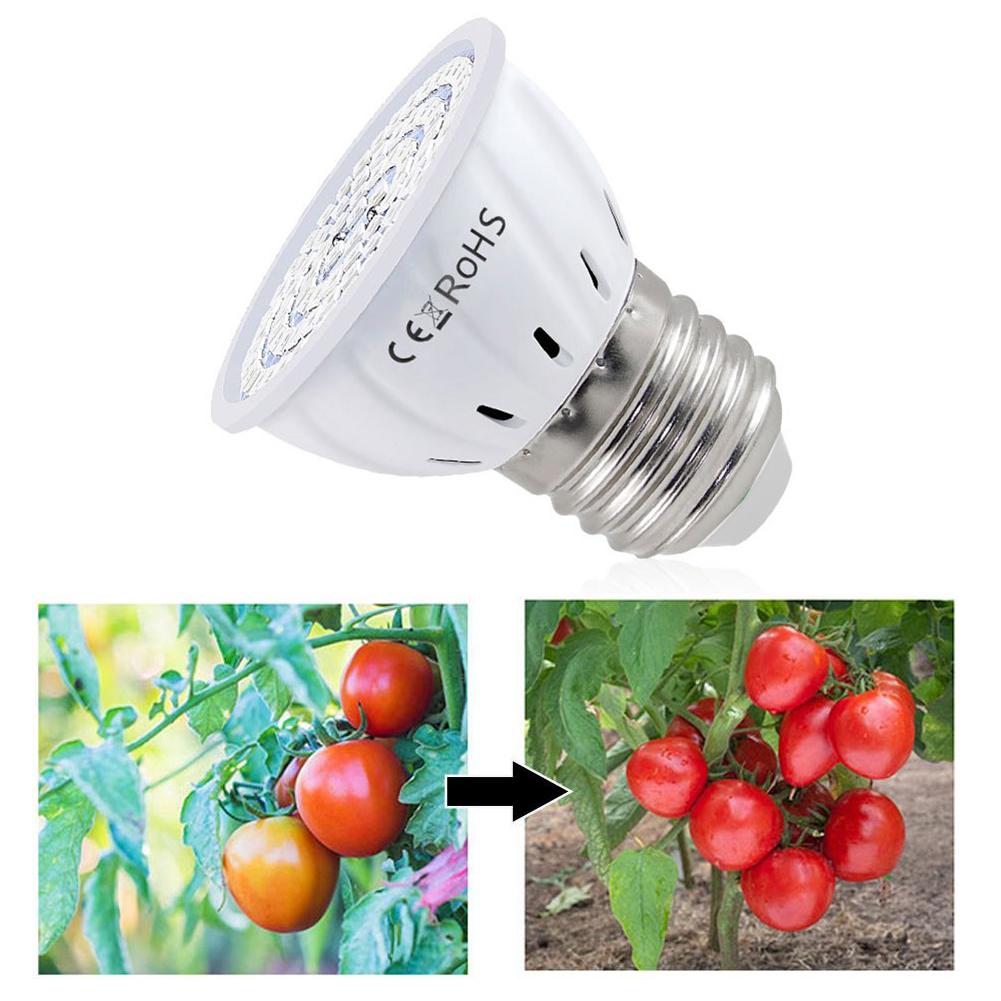 Plant Grow Light Full Spectrum - مصباح LED للنمو E27 بـ 60-80