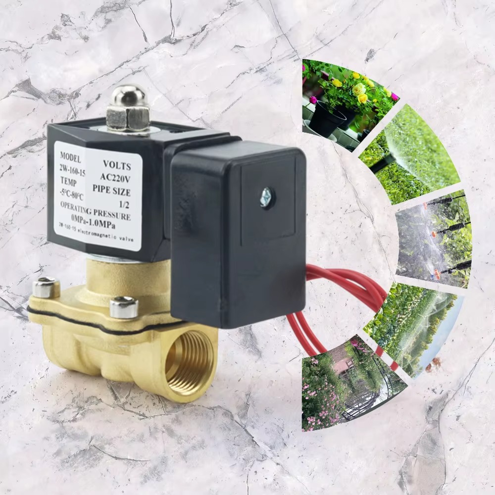 AC220V Tuya WiFi صمام الملف ال - مراجعة Smart Garden Instructions وسعره