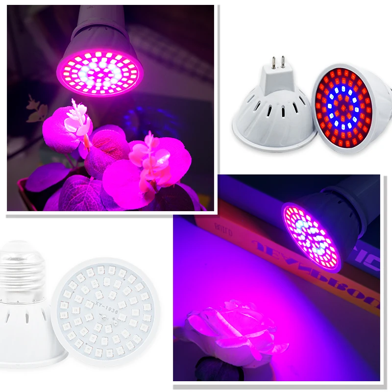 فيتو مصباح الطيف الكامل LED تن - مراجعة Plant Grow Light Full Spectrum وسعره