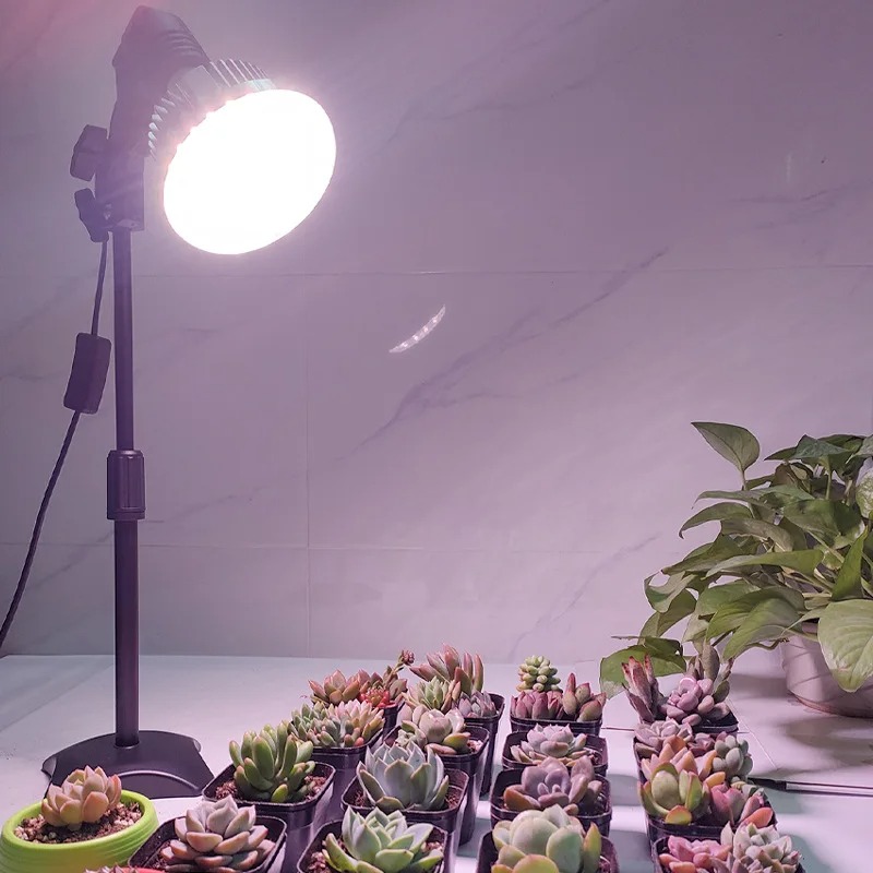 مصباح نمو النباتات القابل للطي - مراجعة Plant Grow Light Full Spectrum وسعره