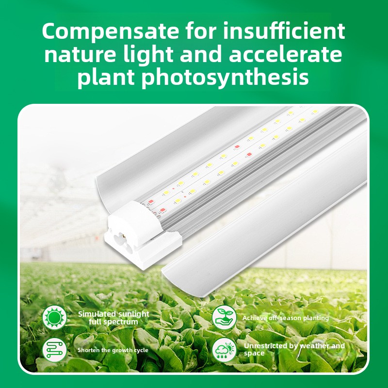 مصباح LED T8 كامل الطيف لنمو ا - مراجعة Plant Grow Light Full Spectrum وسعره