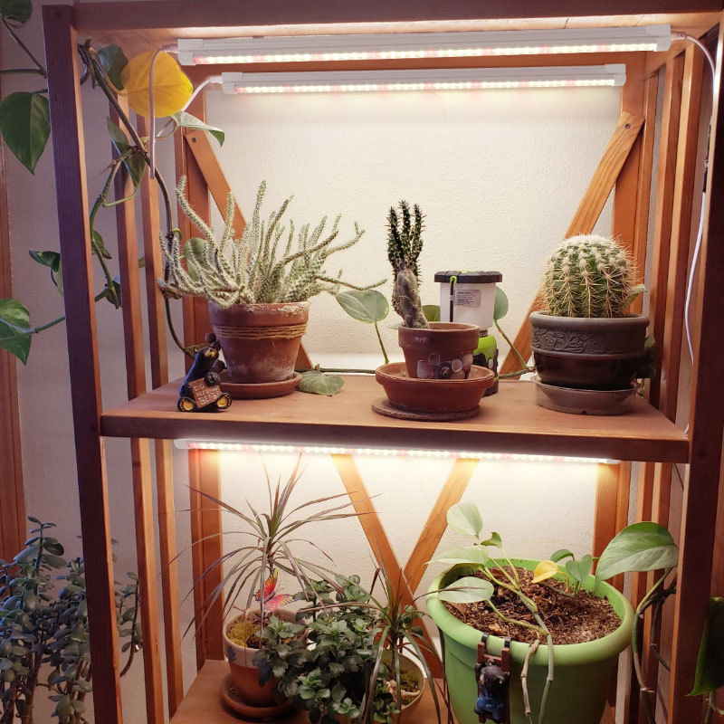 مصباح LED T8 كامل الطيف لنمو ا - مراجعة Plant Grow Light Full Spectrum وسعره