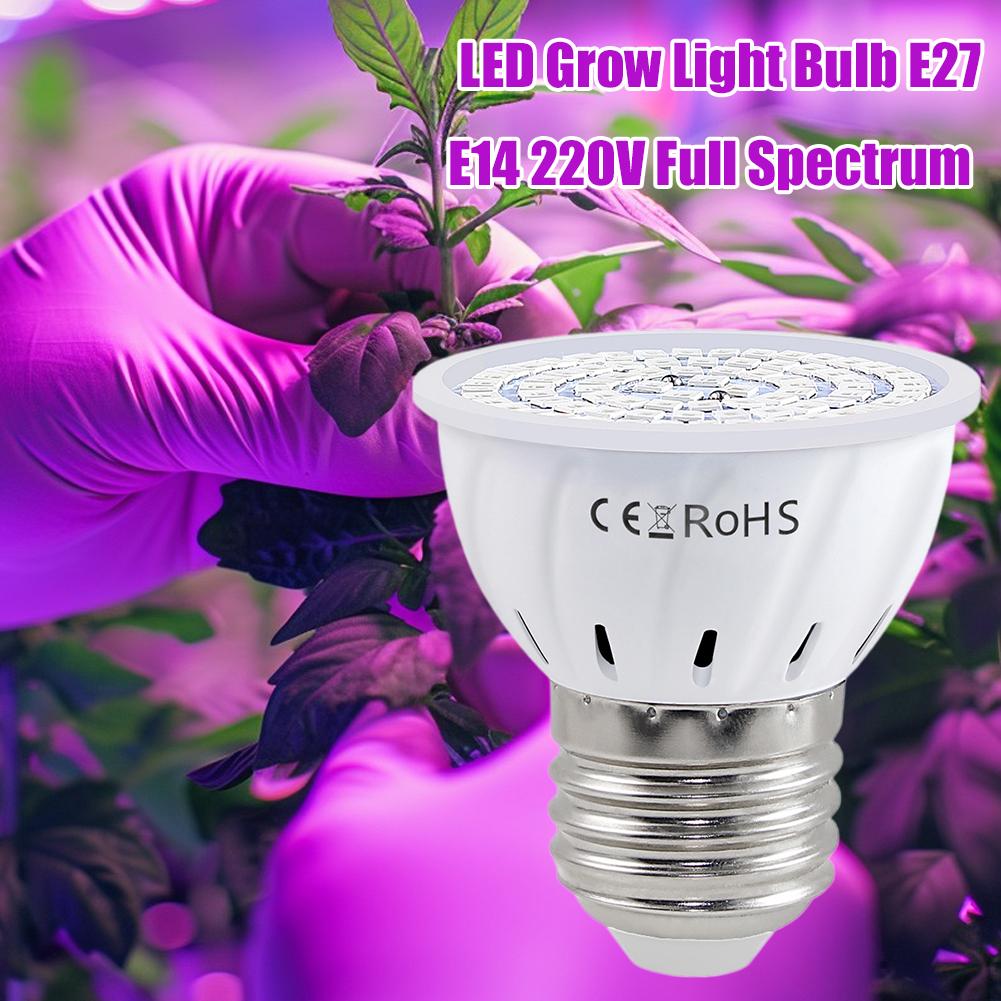 مصباح LED للنمو E27 بـ 60-80 م - مراجعة Plant Grow Light Full Spectrum وسعره