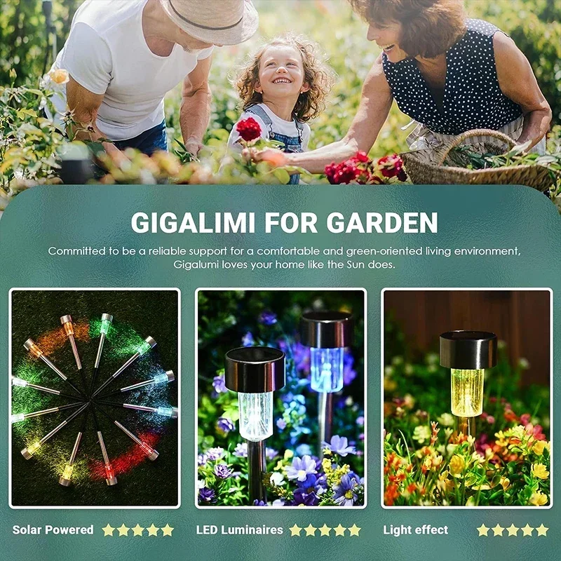 أضواء الشمسية في الهواء الطلق  - مراجعة Smart Garden Solar وسعره