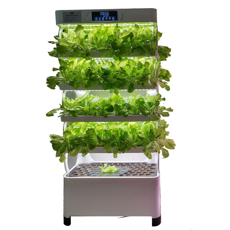 نظام زراعة عمودي ذكي منخفض الت - مراجعة Smart Garden Kit وسعره
