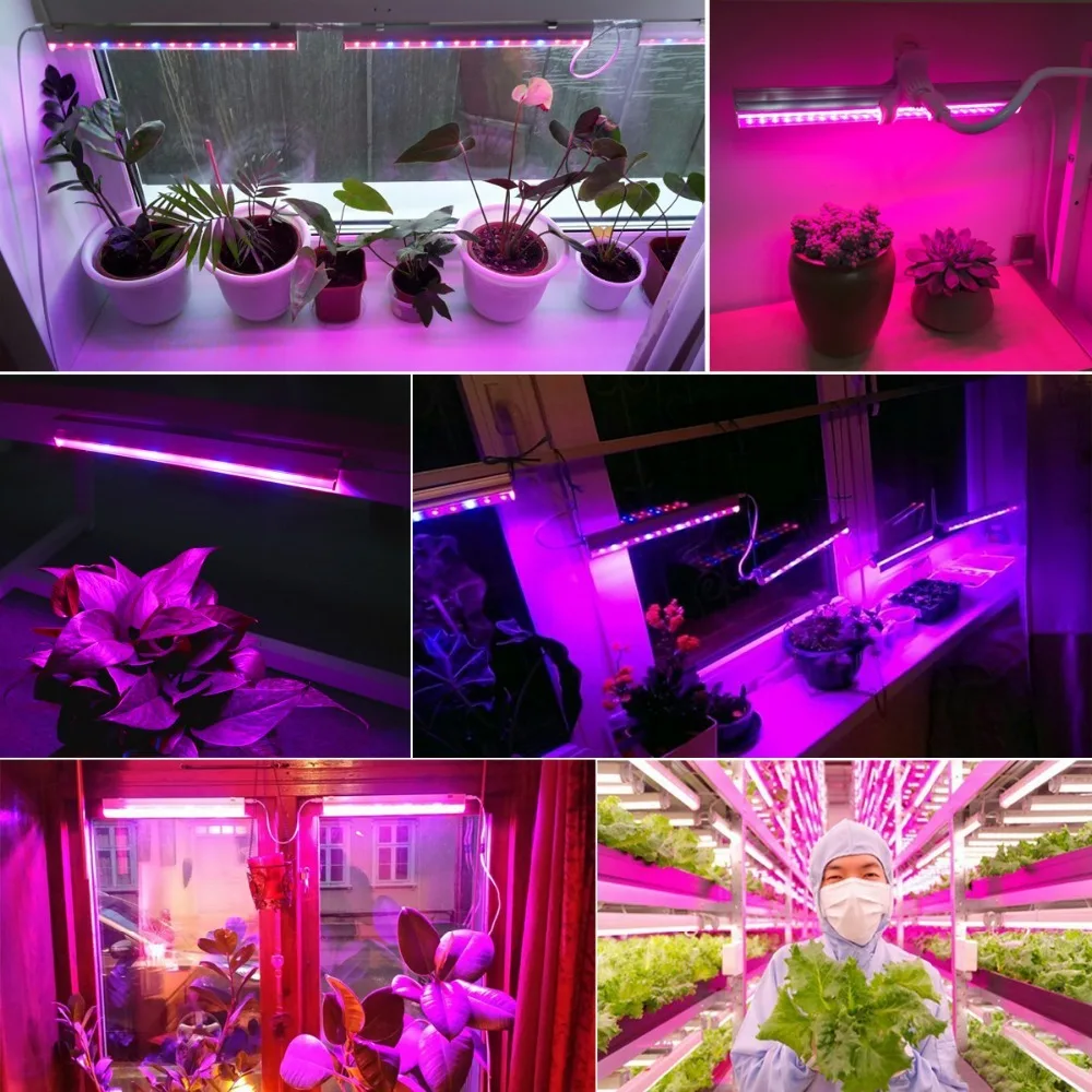 شرائط إضاءة LED لنمو النباتات  - مراجعة Plant Grow Light Full Spectrum وسعره