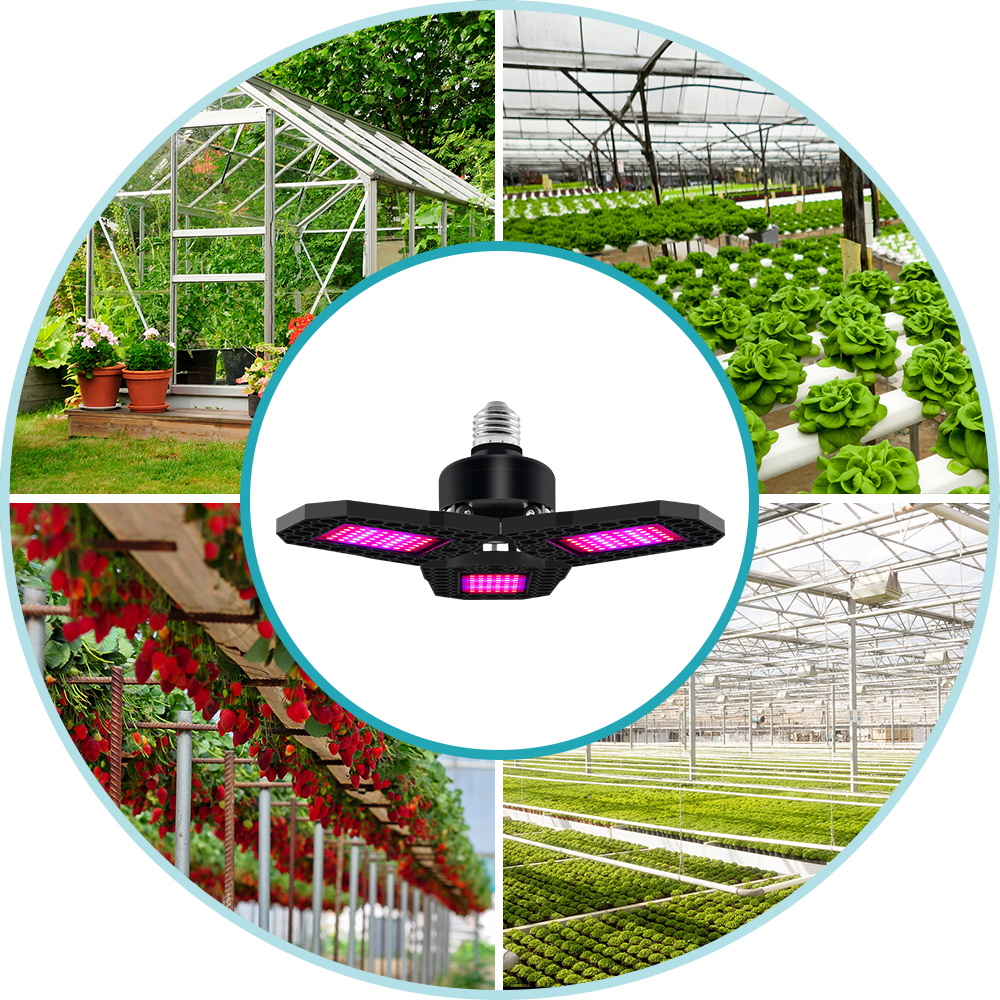 مصباح نمو النباتات LED بقوة 20 - مراجعة Plant Grow Light Full Spectrum وسعره