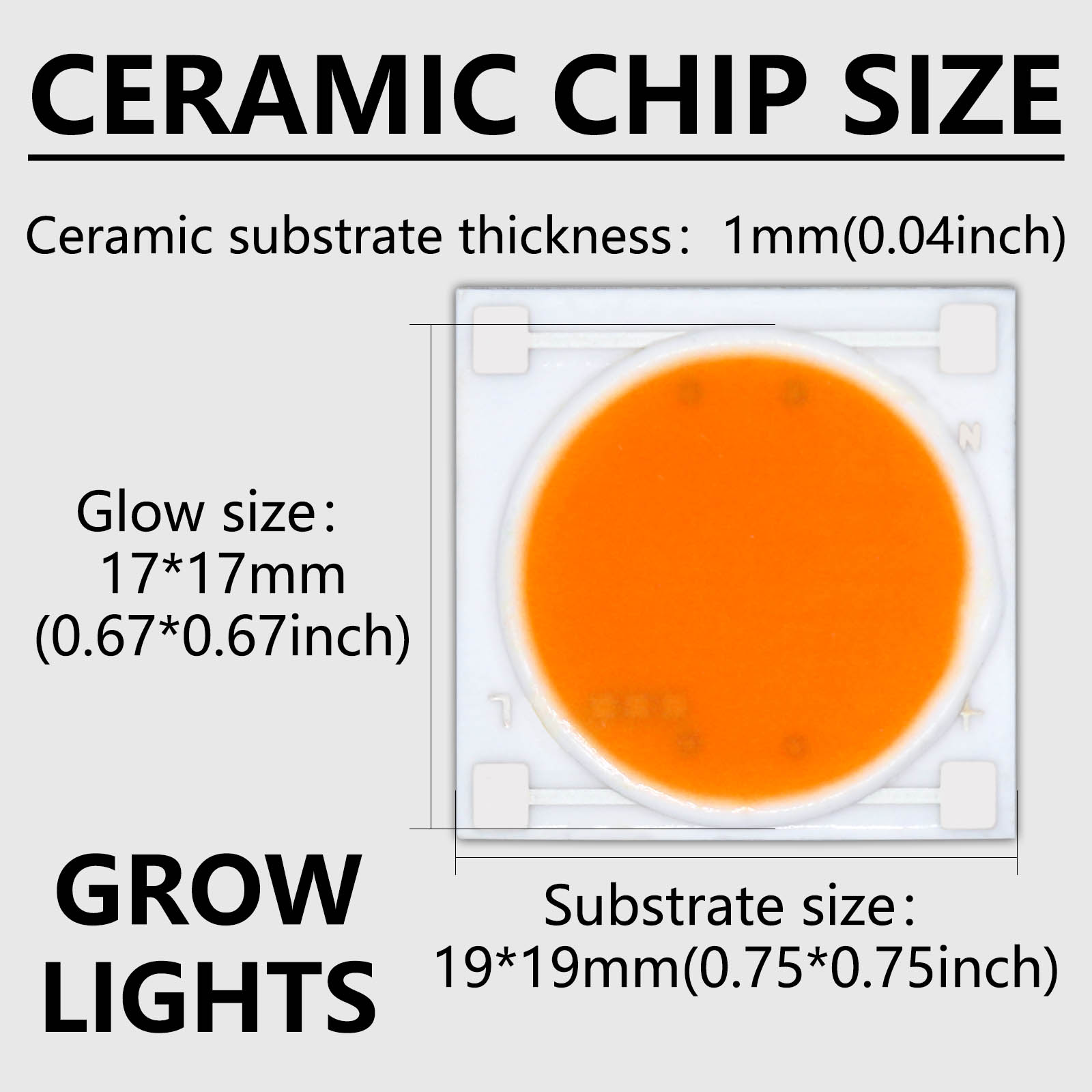 5 قطعة قاعدة السيراميك LED COB - مراجعة Plant Grow Light Full Spectrum وسعره