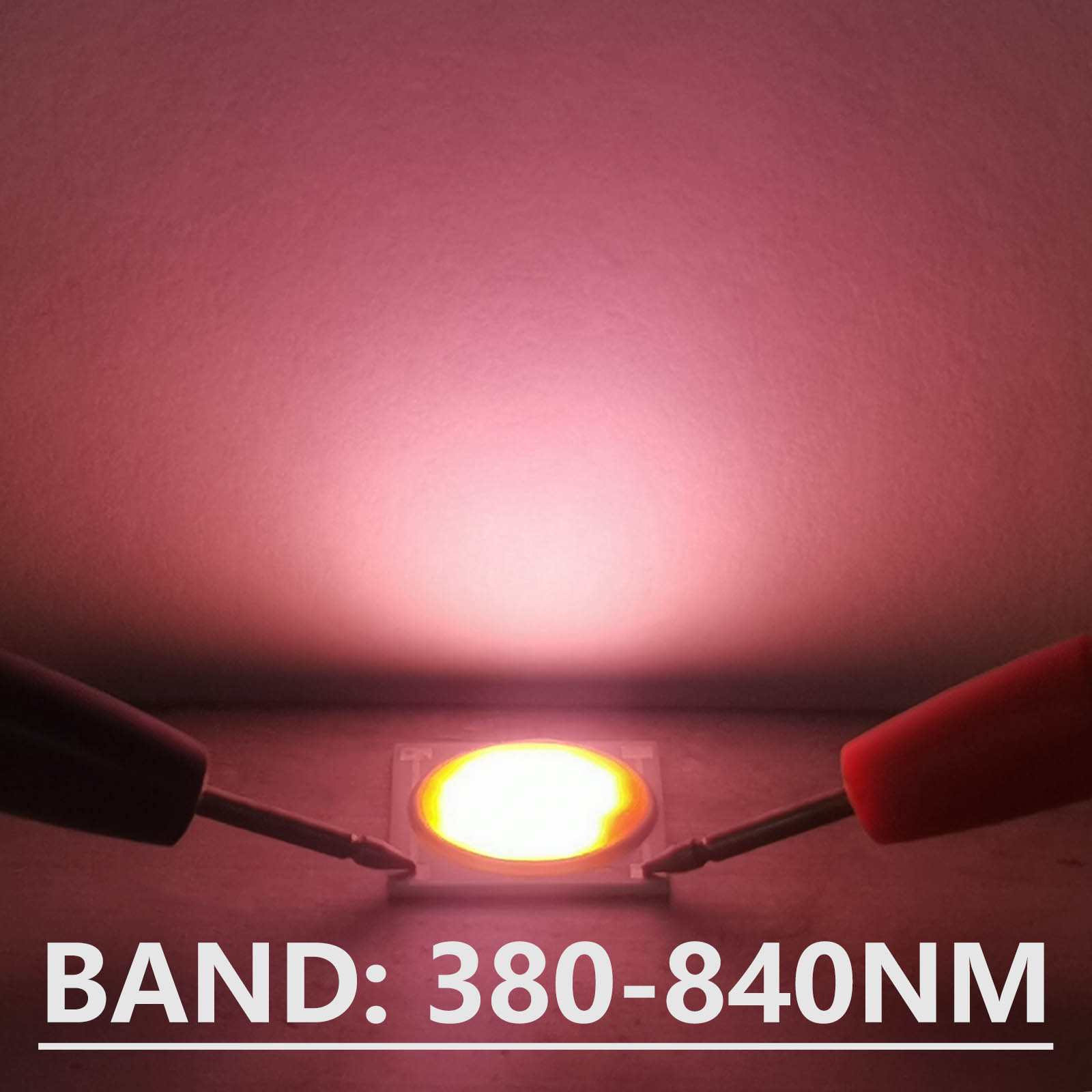 5 قطعة قاعدة السيراميك LED COB - مراجعة Plant Grow Light Full Spectrum وسعره